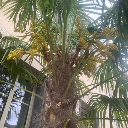 Au Fil Du Temps Pensión Mallievre