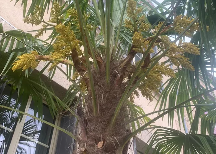 Au Fil Du Temps Pensión Mallievre